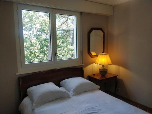 Spacious 2 Bedroom Apartment in Central Geneva