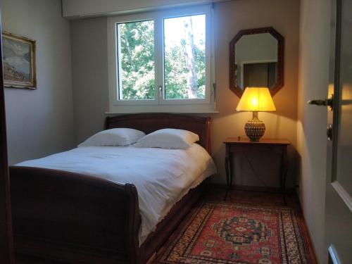 Spacious 2 Bedroom Apartment in Central Geneva
