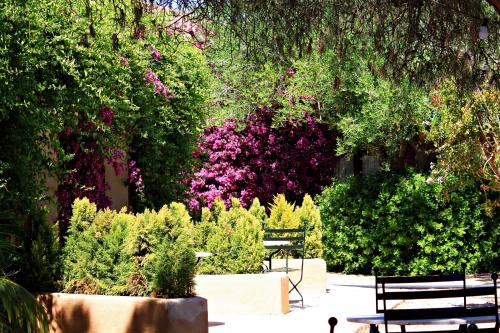 a park with a bench and some bushes and flowers at Petit Hotel Es Figueral in Campos
