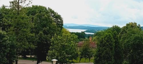 a group of trees with a lake in the background at Chalupa Vagner, Pernek in Horní Planá