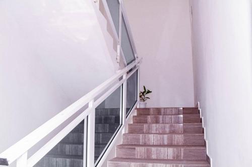 a staircase in a house with a potted plant at Kindow Appart in Pointe-Noire