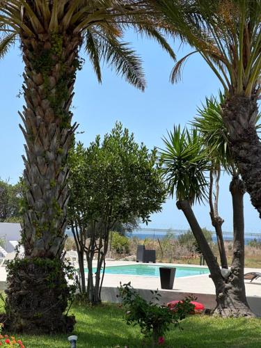 a group of palm trees next to a swimming pool at Villa Priscilla in Cinisi