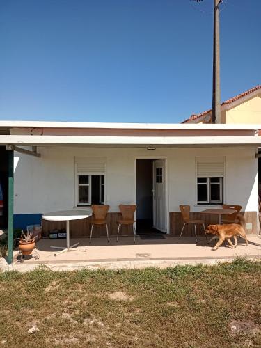 a dog walking in front of a house at casinha do moleiro in Aveiras de Cima