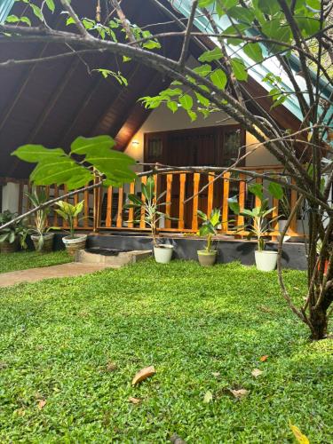 Zahrada ubytování Manju Homestay
