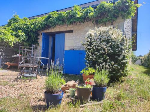 Le petit pré écolo