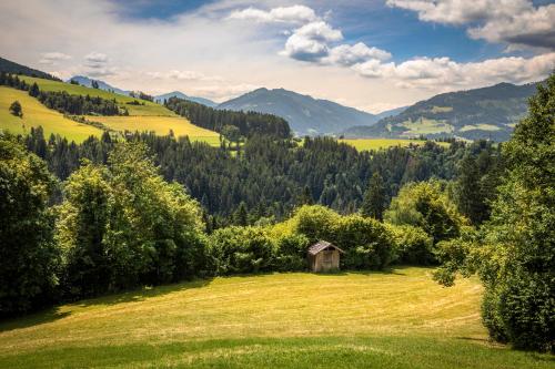 a field with a barn in the middle of a valley at Mittergasteggut in Pfarrwerfen