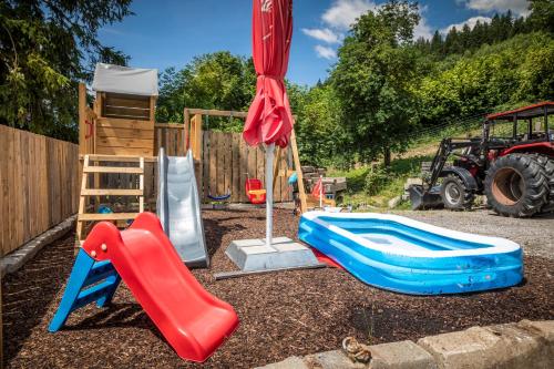 a playground with a slide and a slide at Mittergasteggut in Pfarrwerfen