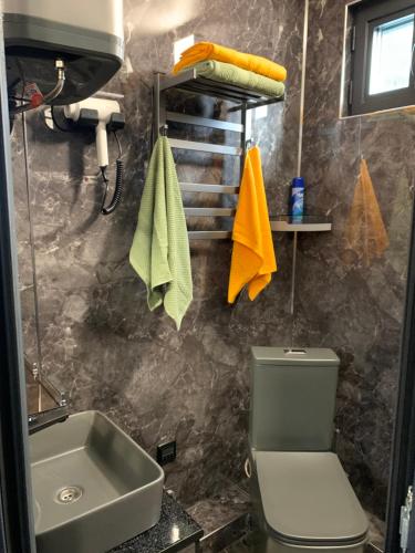 a bathroom with a toilet and a sink at Hippo camp Karakol in Karakol