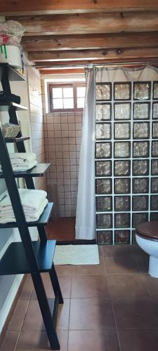 a bathroom with a shower and a toilet in it at Casa las estrellas in Garafía