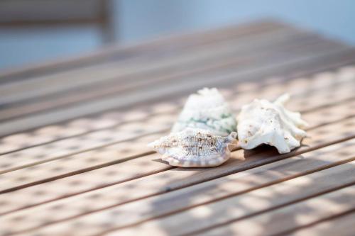 two stuffed shells sitting on a wooden table at Luxury studio Thomas & Irini in Kos Town
