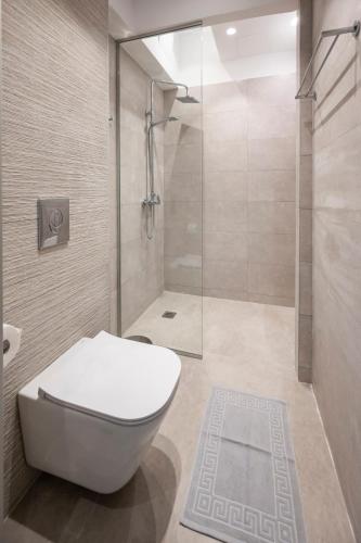 a bathroom with a toilet and a shower at Luxury studio Thomas & Irini in Kos Town