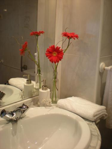 a bathroom with a sink with red flowers in a mirror at Casco Viejo Candeleda in Candeleda