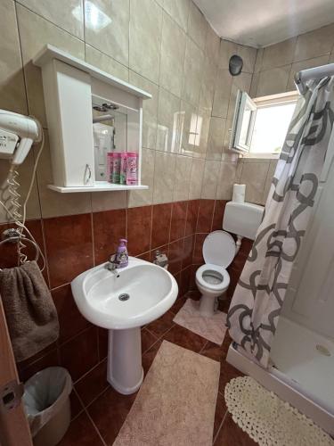a bathroom with a sink and a toilet and a shower at Apartman Buljarica-Bačvice 2 in Kaluđerac