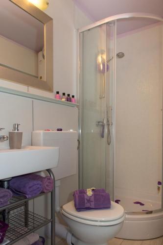 a bathroom with a shower and a toilet and a sink at Sea Margarita Apartment in Pag