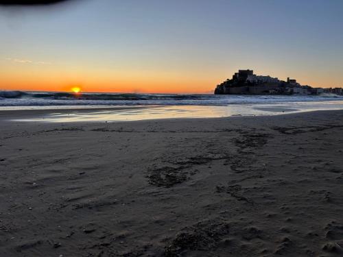 Naturlandskabet i nærheden af lejligheden