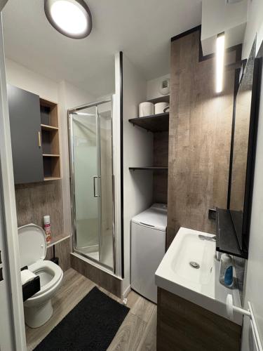 une salle de bain avec toilettes, douche et lavabo dans l'établissement Résidence Porte Océane, Batiment L , appartement 81, à La Rochelle