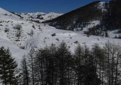 a snow covered mountain with trees in the foreground at Le Chastellan Twin roomChambre Twin in Péone