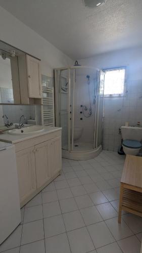 a bathroom with a shower and a sink and a toilet at Les amis de Saint Jacques in Sarzeau
