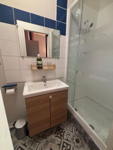 Ένα μπάνιο στο Appartement de l'îlot des Chaudronniers