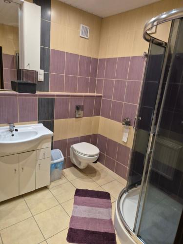Un baño con inodoro, lavabo y ducha. en Mieszkanie 80m2 okolice Biała Podlaska, 