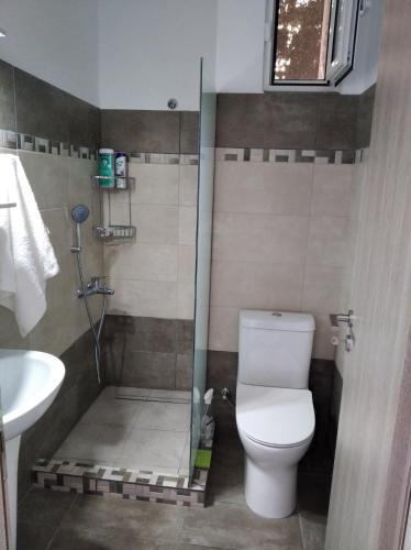 a bathroom with a shower with a toilet and a sink at Apollon Stegna Studios in Archangelos