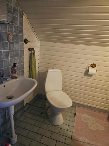 a bathroom with a toilet and a sink at Sjönära villa in Oskarshamn