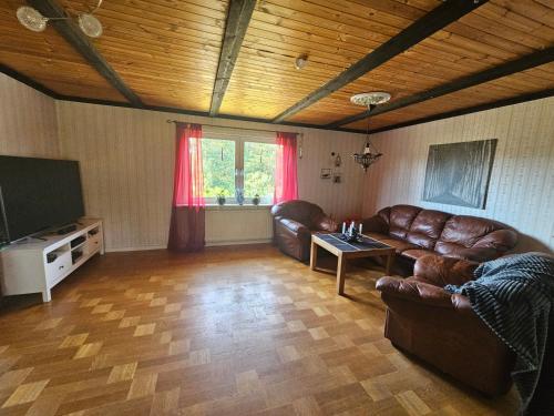 a living room with a couch and a television at Sjönära villa in Oskarshamn