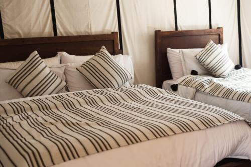 two beds in a room with white sheets and pillows at Sahara Luxurious Tented in Merzouga