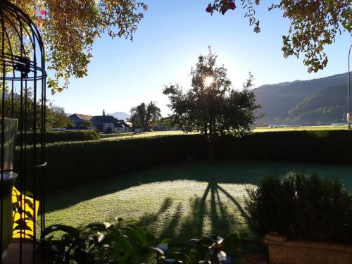 a shadow of a tree in a yard at Abis Ferienwohnung Salzkammergut in Strobl
