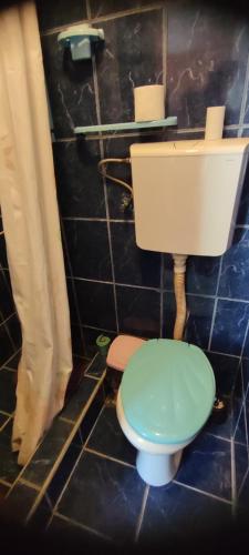 a bathroom with a toilet with a green lid at Apartman Tomas in Herceg-Novi