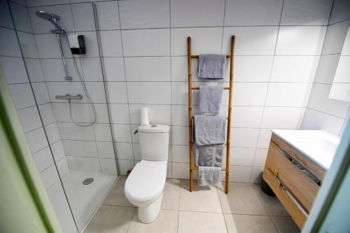 a bathroom with a toilet and a shower and a sink at Le Mas Des Aigras - Hôtel & Restaurant de Charme en Provence in Orange