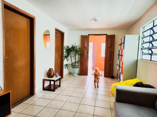 a dog is standing in a living room at Trem Bão de Dormir in Recife