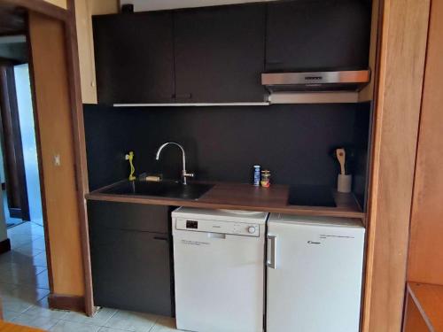 Il comprend une petite cuisine équipée d'un évier et d'un lave-vaisselle. dans l'établissement Appartement Lumineux au Pied des Pistes avec Wifi Inclus - FR-1-292-173, à Isola