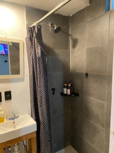 a bathroom with a shower and a sink at DGM Lofts GPE 3 Parque Fundidora in Monterrey