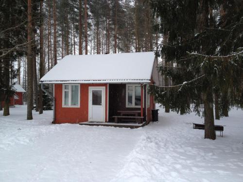 Baiļi during the winter