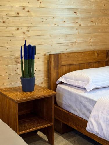 a bedroom with two beds and a table with a potted plant at Guest house Lepushe in Rrëshen