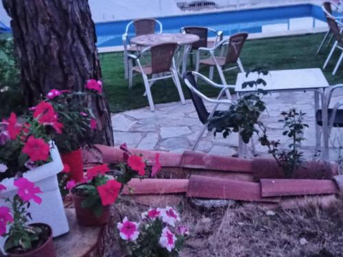 a patio with a table and chairs and flowers at Villa Pachita in Alhama de Aragón