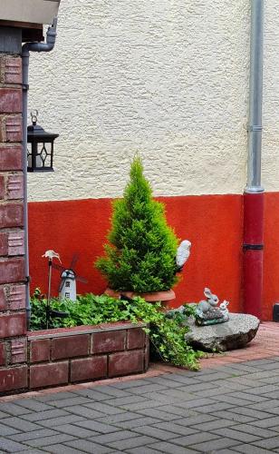 a garden in front of a building with a christmas tree at Monteurzimmer Lollar in Lollar