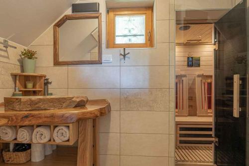 a bathroom with a sink and a mirror and a shower at Holiday home in Novo mesto - dostava - Kranjska Krain 26036 in Trška Gora