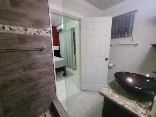 a bathroom with a sink and a glass shower door at Chateau Central at Sunbury Apts in Kingston