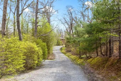 a dirt road through a forest with trees at Scenic Solitude at Cabins in the Clouds in Rising Fawn