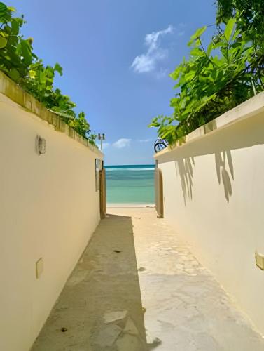 a pathway to the beach with the ocean in the background at Caribbean Nature Sourrounded Refuge Apartment in Juan Dolio