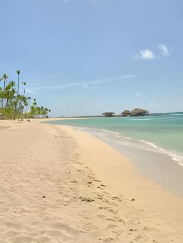 a sandy beach with trees and the ocean at Caribbean Nature Sourrounded Refuge Apartment in Juan Dolio