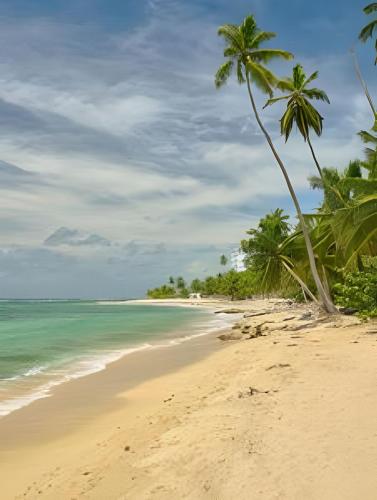 a beach with two palm trees and the ocean at Caribbean Nature Sourrounded Refuge Apartment in Juan Dolio