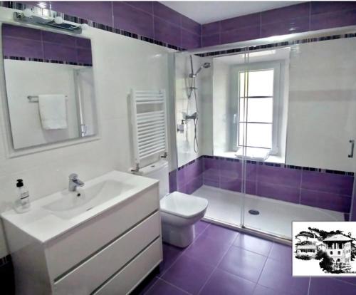 a bathroom with a sink and a toilet and a shower at El Alba in La Lastra