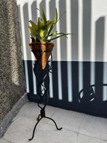 a plant in a basket on a stand on a sidewalk at Casa Ribeiro in Funchal