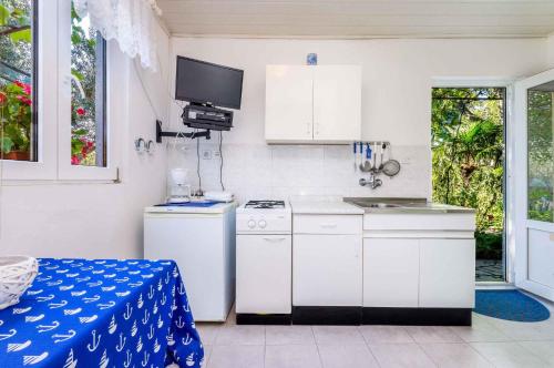Holiday home in Novi Vinodolski 15428