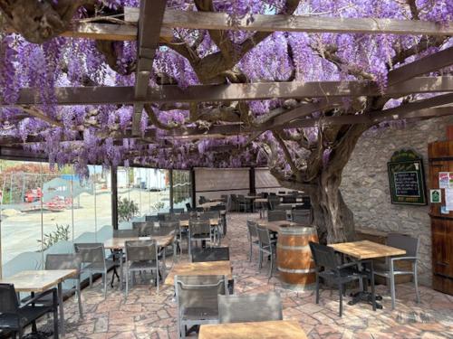 a restaurant with tables and chairs and a tree with purple flowers at Auberge du Bon Vivant in Argelès-sur-Mer