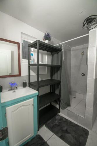 a bathroom with a shower and a sink at Vacazure in Saint Joseph