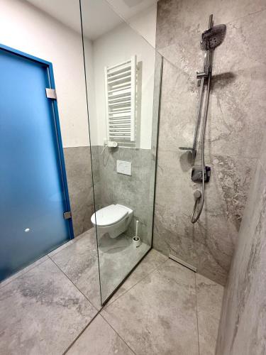 a bathroom with a toilet and a glass shower at NEU MotoLoft Schwarzwaldhochstraße Zentrum Goldstadt Pforzheim Schlössle in Pforzheim